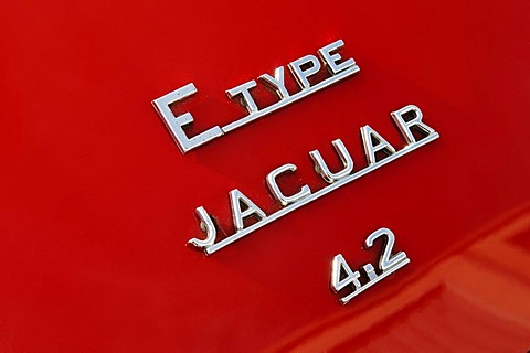 Jaguar E-Type 4.2 ltr, detail