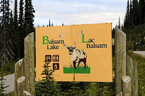 Sign Balsam Lake, Meadows in the Sky, Revelstoke National Park, British Columbia, Canada