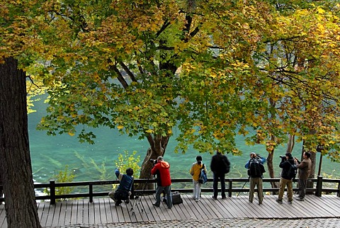 Photographers in the autumn mood at the turquoise Mirror Lake, Jiuzhaiguo Valley, Jiuzhaiguo National Park, Sichuan, China, Asia