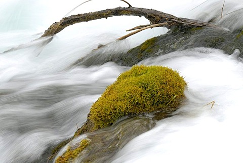 Waterfall and fresh green moss, foaming white fast-flowing water in the Jiuzhaigou Valley, Jiuzhaigou National Park, Sichuan, China, Asia