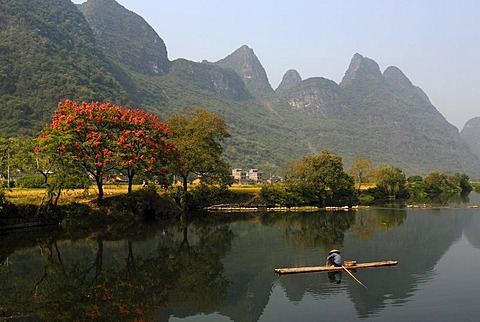 Chinese fisherman with a straw hat on a bamboo raft fishing near Yangshuo in Yulong River in front of flowering trees and karst rocks, Yangshuo, Guilin, Guanxi, China, Asia