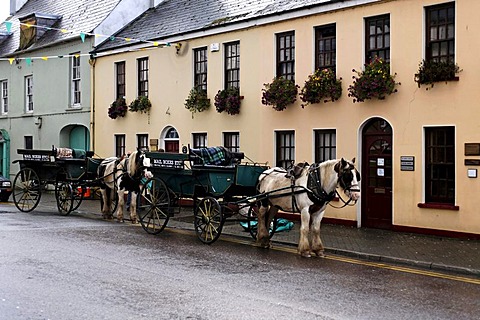 Horses and carriages, Killarney, Ireland, Europe