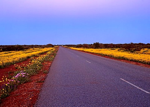 Road to Shark Bay, Northwest Australia