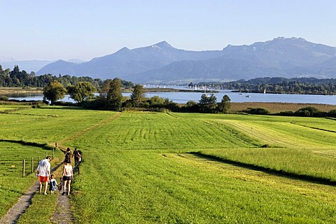 Family walking on pathway, Schafwaschen, Chiemsee, Chiemgau, Upper Bavaria, Germany, Europe