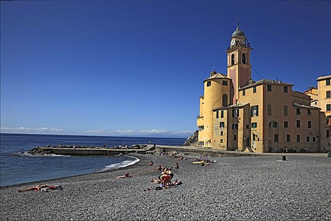 Camogli in the Genoa province, on the Golfo Paradiso at the Riviera di Levante, beach promenade and church Santa Maria Assunta, Liguria, Italy, Europe