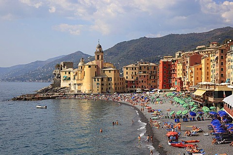 Camogli in the Genoa province, on the Golfo Paradiso at the Riviera di Levante, beach promenade and church of Santa Maria Assunta, Liguria, Italy, Europe