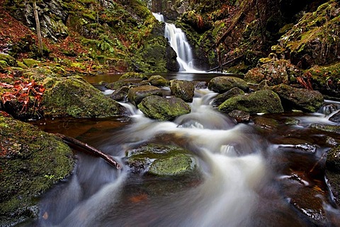 Falkenauer waterfall in November in the Black Forest, Baden-Wuerttemberg, Germany, Europe