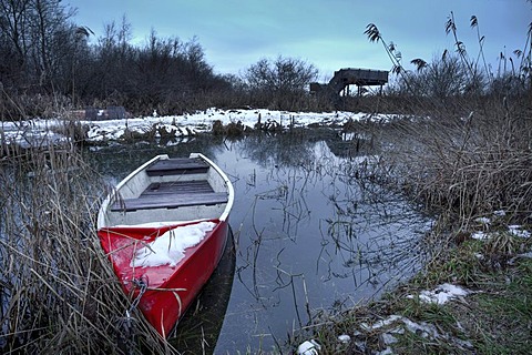 Boat on Federsee lake, Baden-Wuerttemberg, Germany, Europe