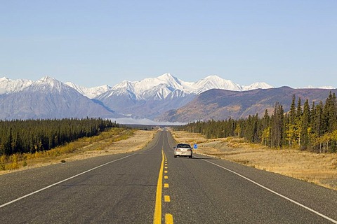 Indian Summer along Alaska Highway, leaves in fall colours, St. Elias Mountains behind, Kluane National Park and Reserve, Yukon Territory, Canada