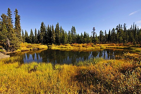 In the Chilcotin Country between Williams Lake and the coastal mountains, towards Bella Coola, British Columbia, Canada