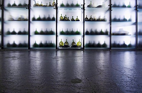 Modern wine shelf at the Hofkeller vinery in the Residenz palace in Wuerzburg, Bavaria, Germany