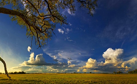 The vast landscape of the Okavango Delta, Botswana, Africa