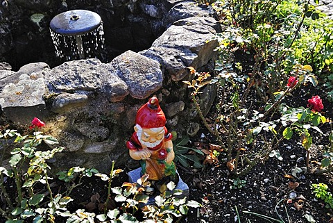 Gnome in the garden of the Kloster Benediktbeuern monastery, Bavaria, Germany, Europe