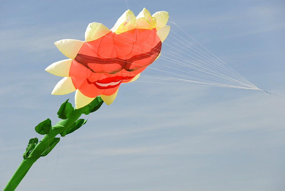 Kite figure, flower, sunflower, International Kite Festival, Bristol, England, United Kingdom, Europe