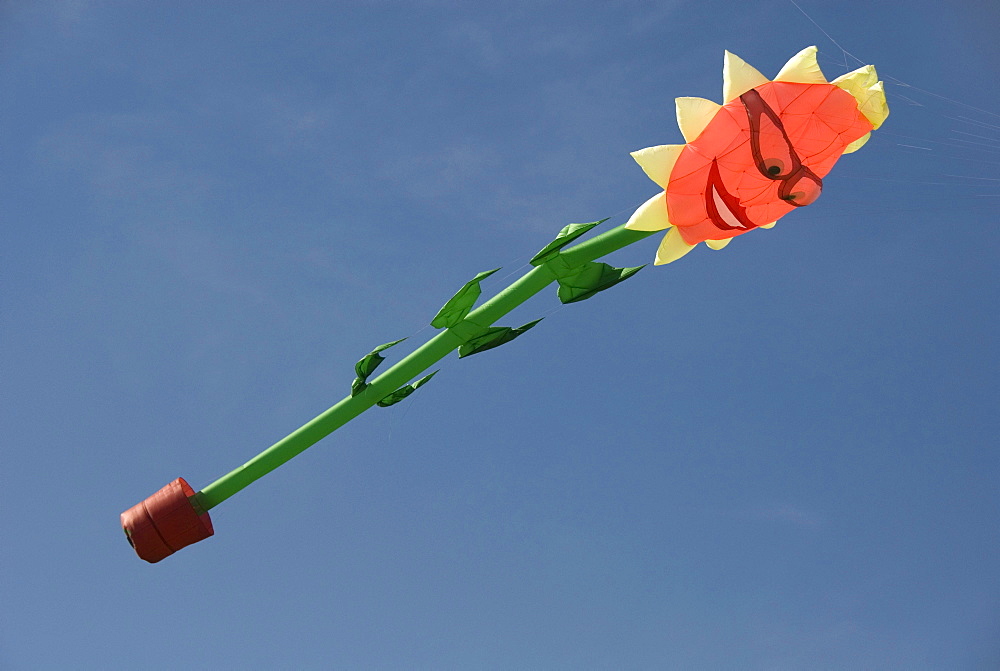 Giant sunflower, kite, character, International Kite Festival, Bristol, England, United Kingdom, Europe