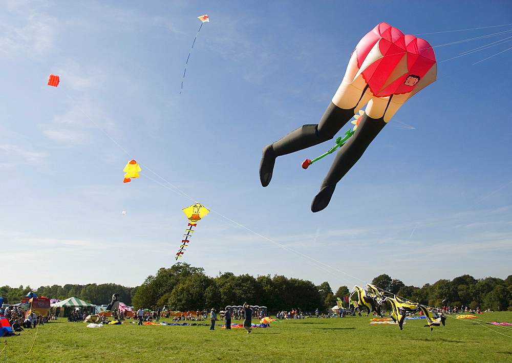 Sexy lower abdomen, kite, character, International Kite Festival, Bristol, England, United Kingdom, Europe