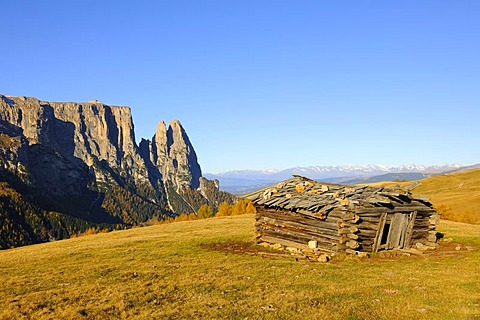 Seiser Alm mountain pasture with Mt. Schlern, Dolomites, South Tyrol, Italy, Europe