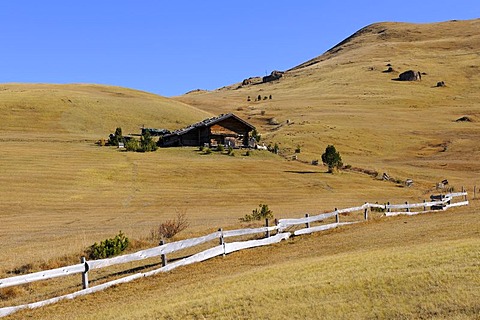 Cabin on the Seiser Alm mountain pasture, Dolomites, South Tyrol, Italy, Europe