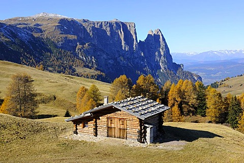 Seiser Alm mountain pasture with Mt. Schlern, Dolomites, South Tyrol, Italy, Europe