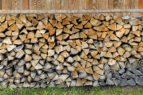 Firewood stacked outside a hut