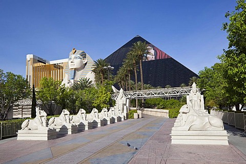 Luxor Hotel with the pyramid and the Sphinx, Las Vegas, Nevada, USA