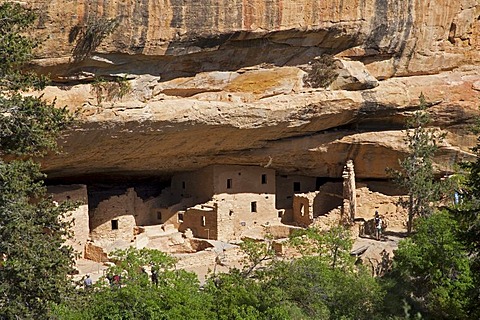 Cliff dwellings, Spruce Tree House, Anasazi Native American ruins, Mesa Verde National Park, Colorado, America, United States