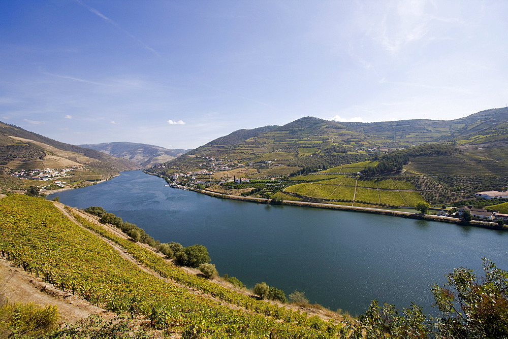 Douro river and vineyards, Portugal, Europe