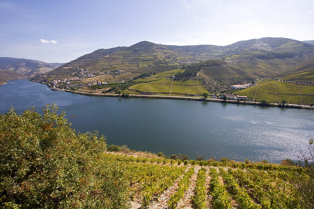 Douro river and vineyards, Portugal, Europe