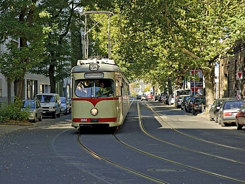 Rheinbahn tram Type GT8, at Derendorf, Duesseldorf, North Rhine-Westphalia, Germany, Europe