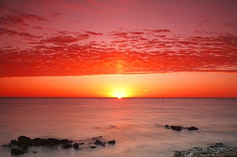 Sunrise at the Wadden Sea at high water, Texel, Holland, Netherlands, Europe