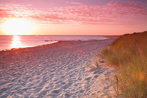 Sunrise at the Wadden Sea at high water, Texel, Holland, Netherlands, Europe