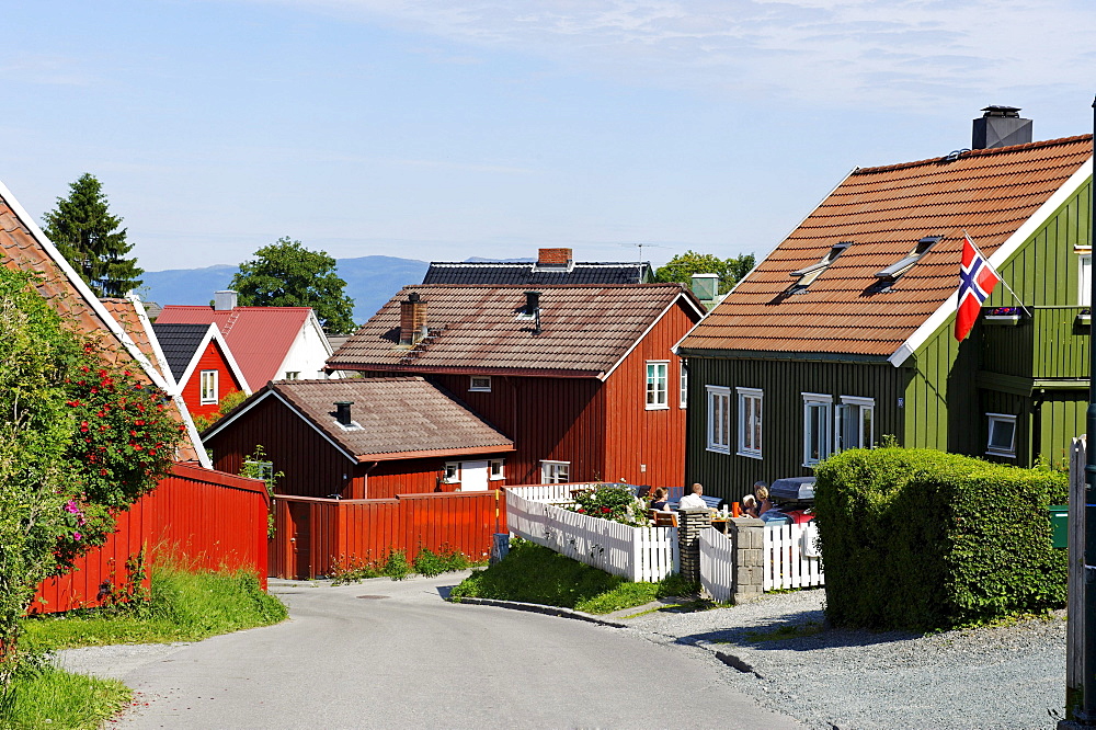 Timber houses in the quarter below Kristansten Fortress, Trondheim, Norway, Scandinavia, Europe