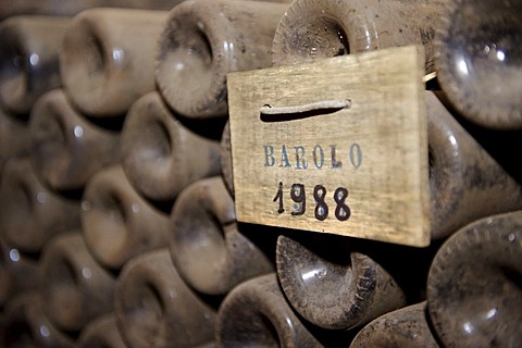 Wine-cellar, Cantina di Borgogno, winery, Barolo, Provincia di Cuneo, Piedmont, Italy, Europe