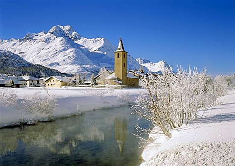 Hoarfrost near Sils in front of Mt. Piz de la Margna, Engadin valley, Canton of Grisons, Switzerland, Europe