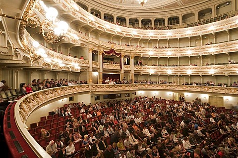 Semperoper opera house, interior with audience, Dresden, Saxony, Germany, Europe