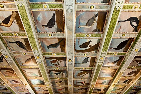 Function room with a coffered ceiling, Loessnitz Manor, Radebeul near Dresden, Saxony, Germany, Europe