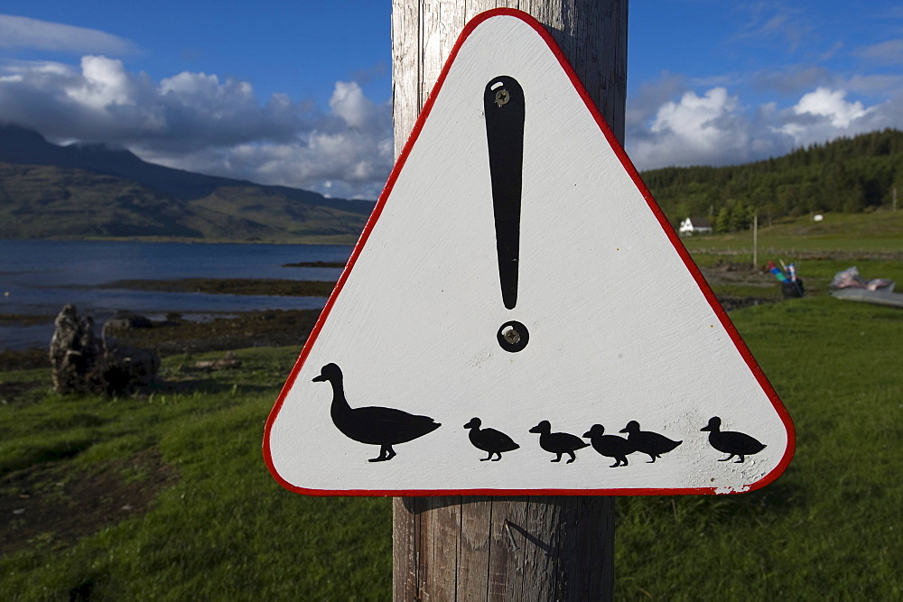 Attention ducks crossing sign, Isle of Mull, Scotland, UK, Europe