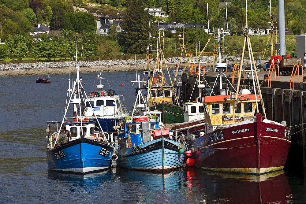 Fishing boats in the harbour, Ullapool, Scotland, United Kingdom, Europe