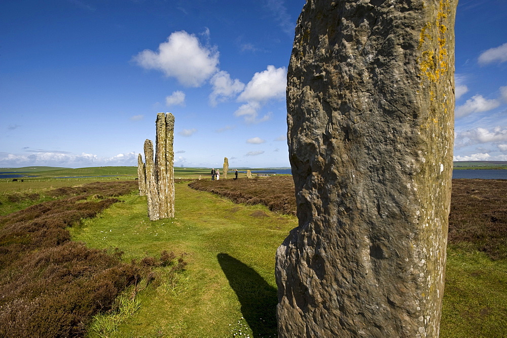 Neolithic ritual place, Ring of Brodgar, Stromness, Orkney Islands, Scotland, United Kingdom, Europe