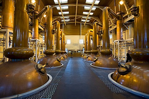 Glenmorangie, stills, Whiskey Distillery, Tain, Scotland, United Kingdom, Europe