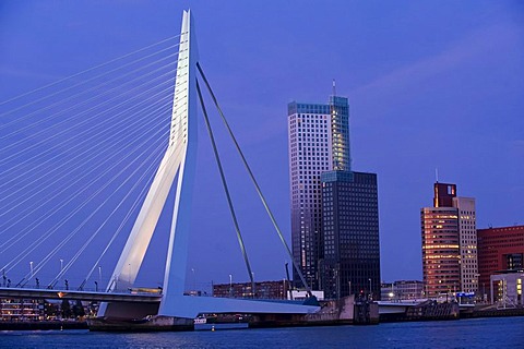 Erasmusbrug bridge and Kop van Zuid district on the Maas River, Rotterdam, South Holland, Holland, Netherlands, Europe