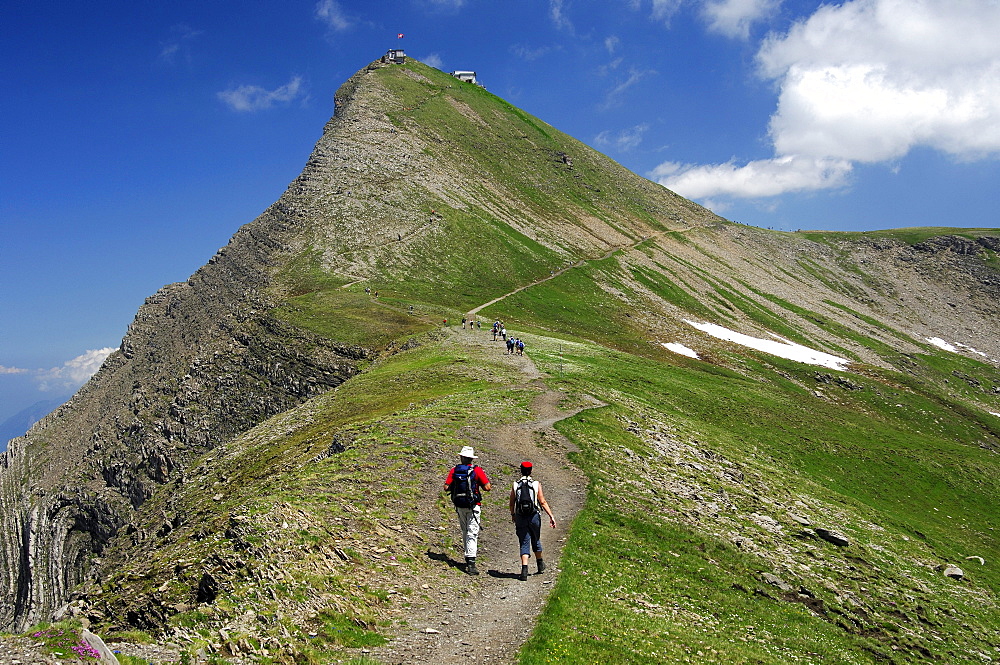 Hikers on the way to the Faulhorn summit, Bernese Oberland, Switzerland, Europe