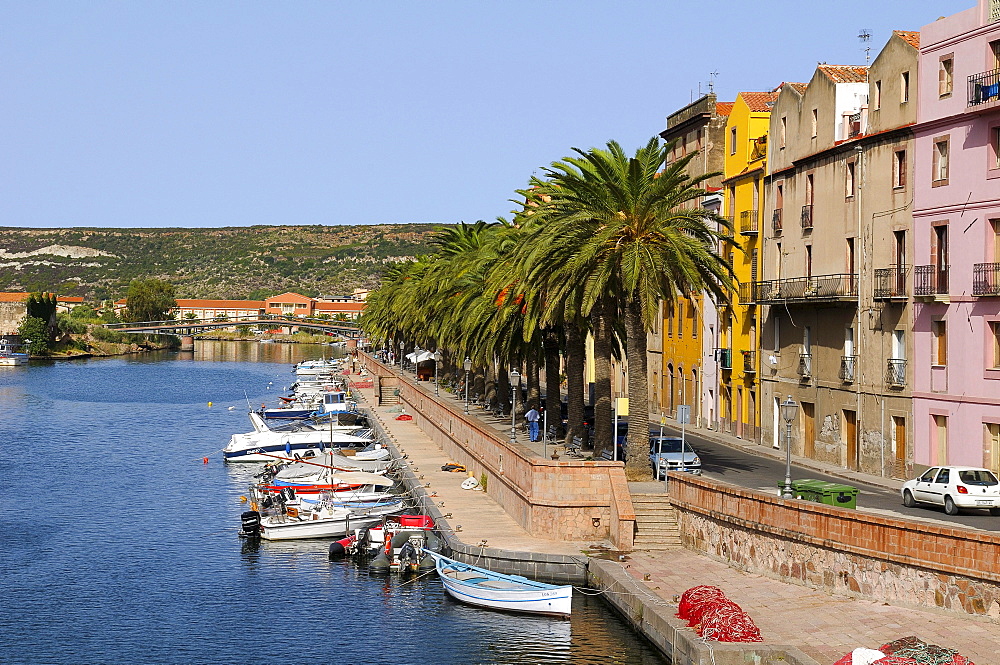 Boats on the river Temo and the historic town centre of Bosa, palm trees along the promenade, Bosa, Oristano, Sardinia, Italy, Europe