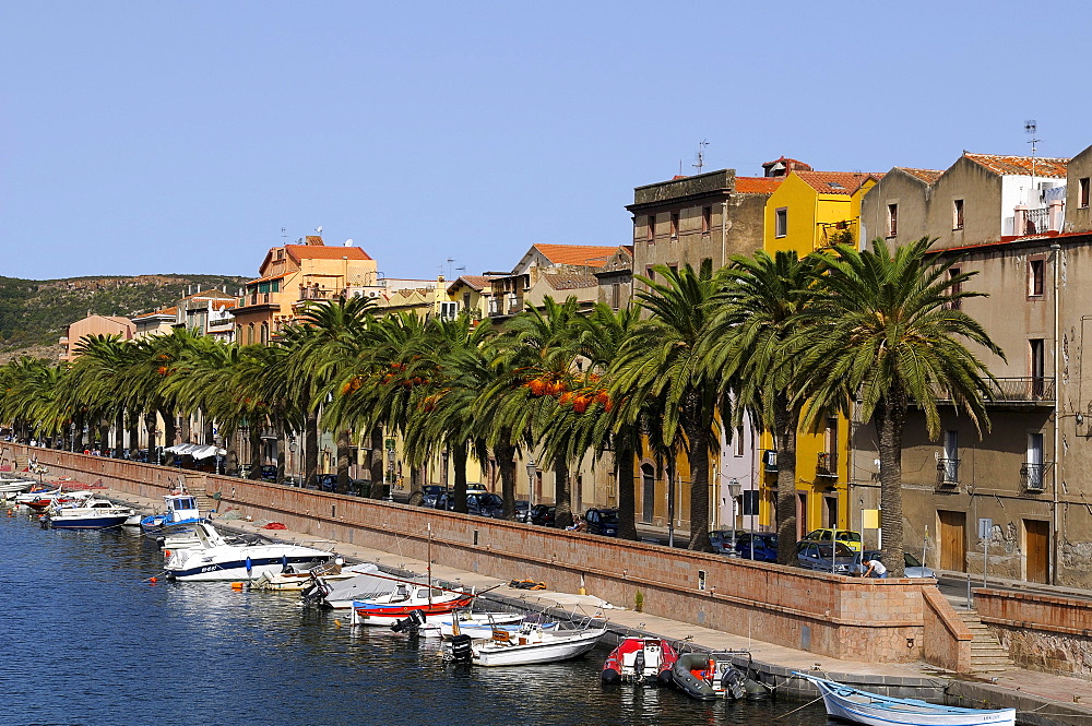 Boats on the river Temo and the historic town centre of Bosa, palm trees along the promenade, Bosa, Oristano, Sardinia, Italy, Europe