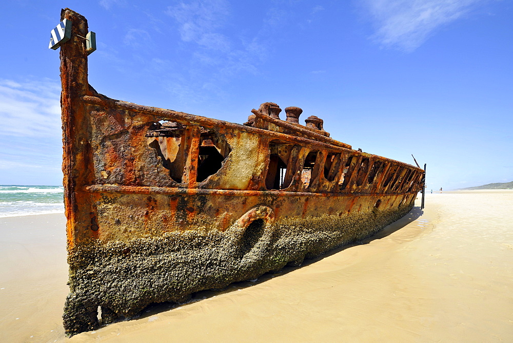 Wreck of the former luxury liner ss Maheno, Seventy-Five Mile Beach, UNESCO World Natural Heritage Site, Fraser Island, Great Sandy National Park, Queensland, Australia