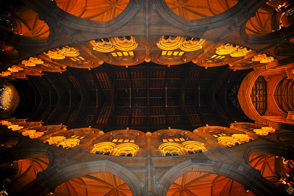 Interior shot of the choir, nave, wooden ceiling, St. Mary's Cathedral, Sydney, New South Wales, Australia