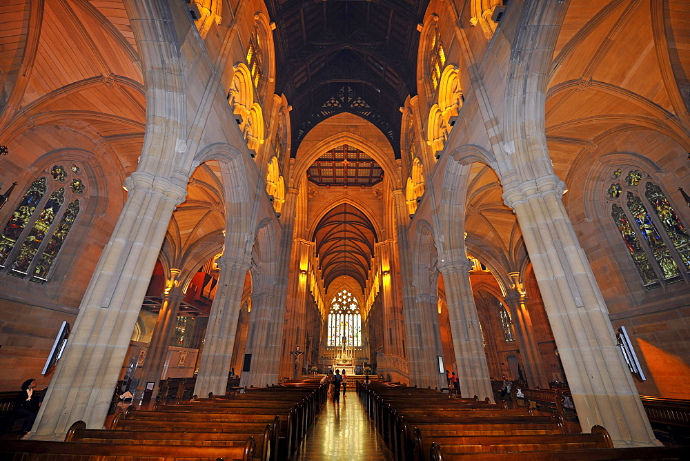 Interior shot of the choir, nave, wooden ceiling, St. Mary's Cathedral, Sydney, New South Wales, Australia