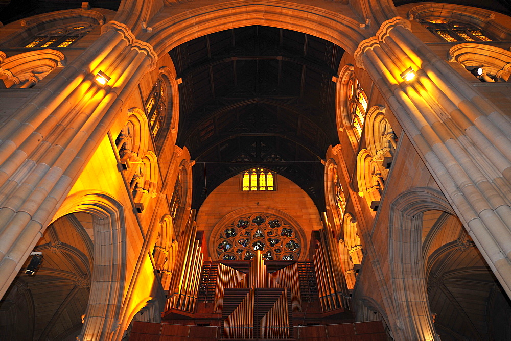 Interior shot of the organ, oak wood ceiling, central bell tower, St. Mary's Cathedral, Sydney, New South Wales, Australia