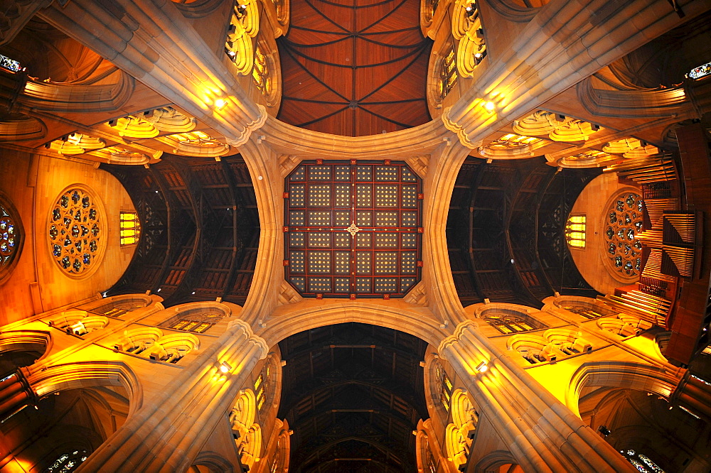 Interior shot of the organ, oak wood ceiling, central bell tower, St. Mary's Cathedral, Sydney, New South Wales, Australia