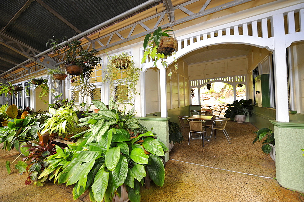 Historic Kuranda Village Station, Kuranda Scenic Railway, rainforest, Atherton Tablelands, Queensland, Australia